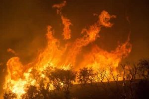 out-of-control-bushfire